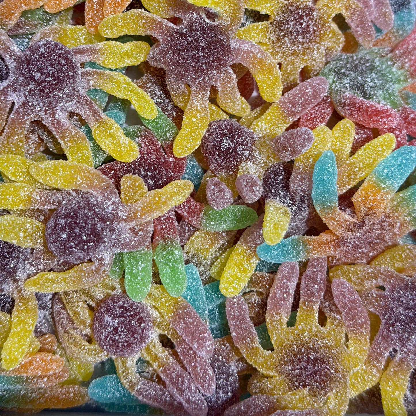 Sour Octopus