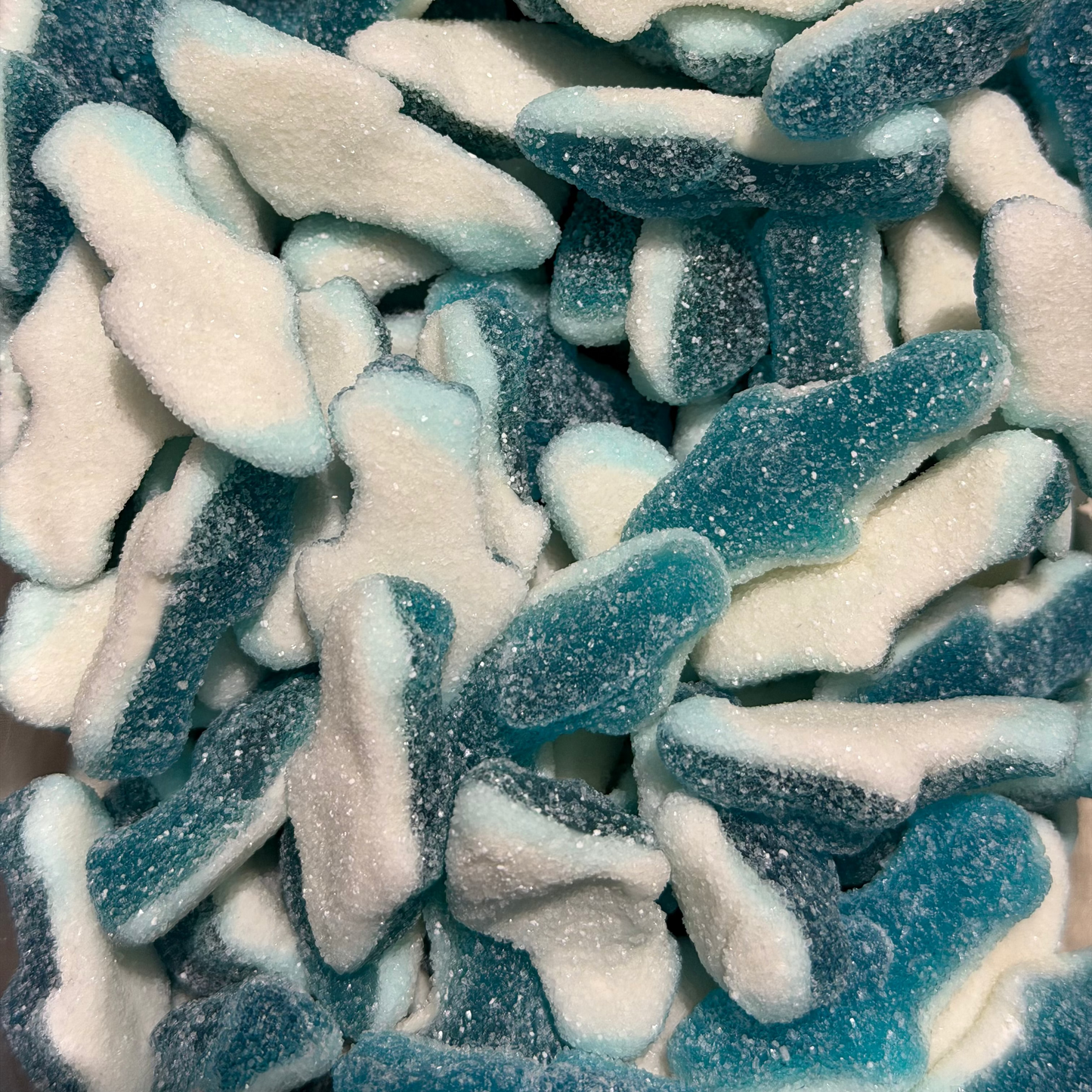 Sour Sharks