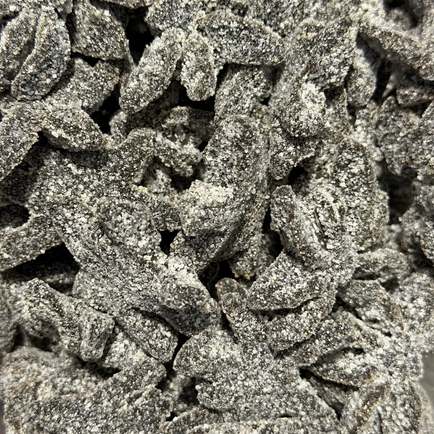 Sugared Black Spiders