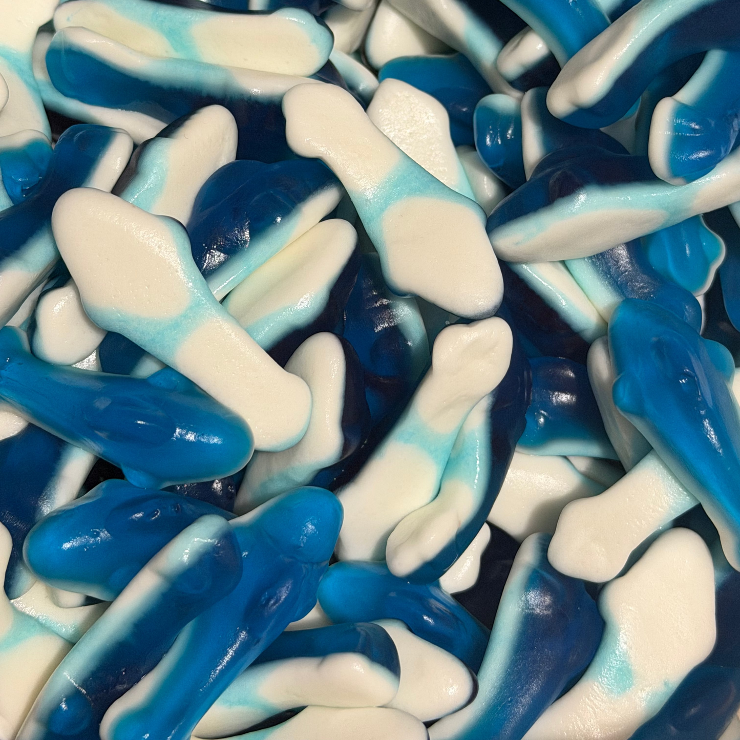 Gummy Sharks